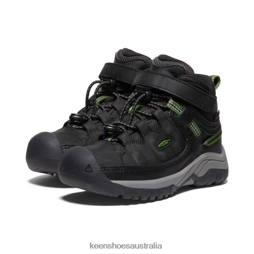 KEEN Footwear TLDLTR879 Black/Campsite Targhee Waterproof Boot Little Kids