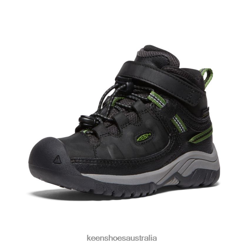 KEEN Footwear TLDLTR879 Black/Campsite Targhee Waterproof Boot Little Kids