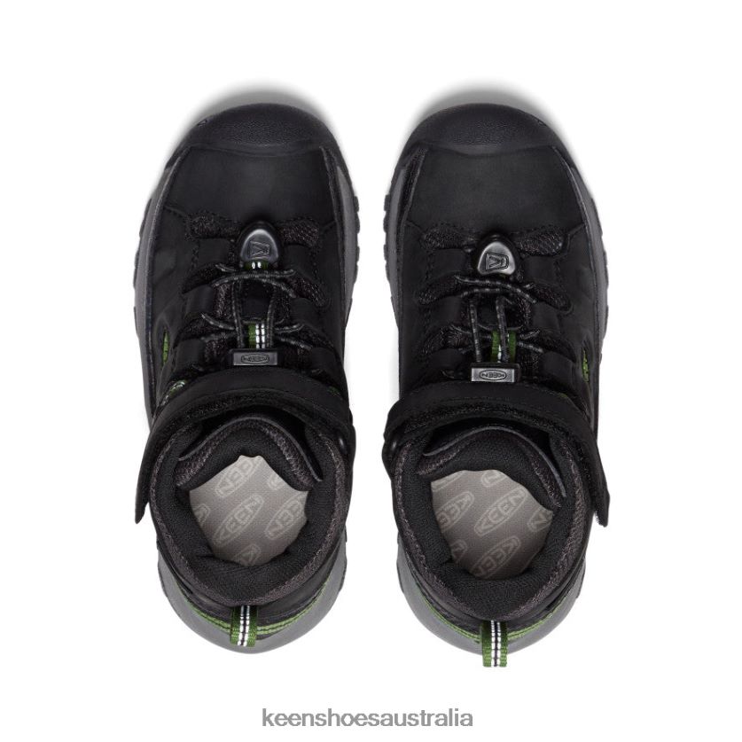 KEEN Footwear TLDLTR879 Black/Campsite Targhee Waterproof Boot Little Kids