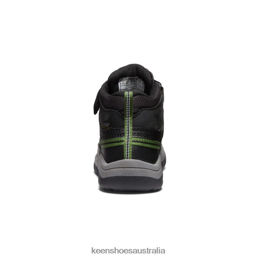KEEN Footwear TLDLTR879 Black/Campsite Targhee Waterproof Boot Little Kids