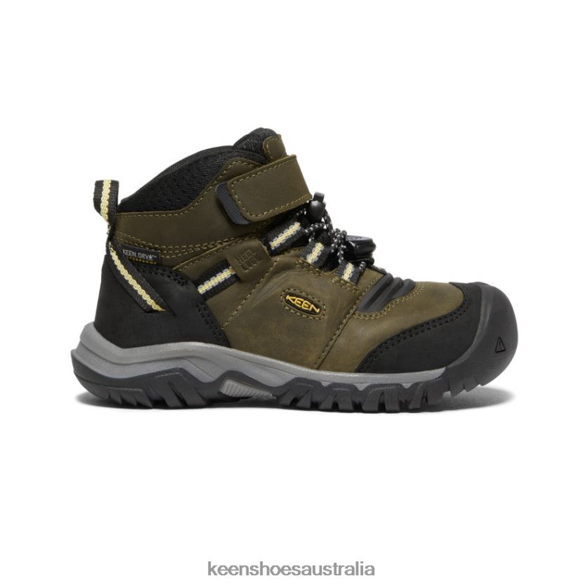 KEEN Footwear TLDLTR907 Dark Olive/Dusky Citron Ridge Flex Waterproof Boot Little Kids