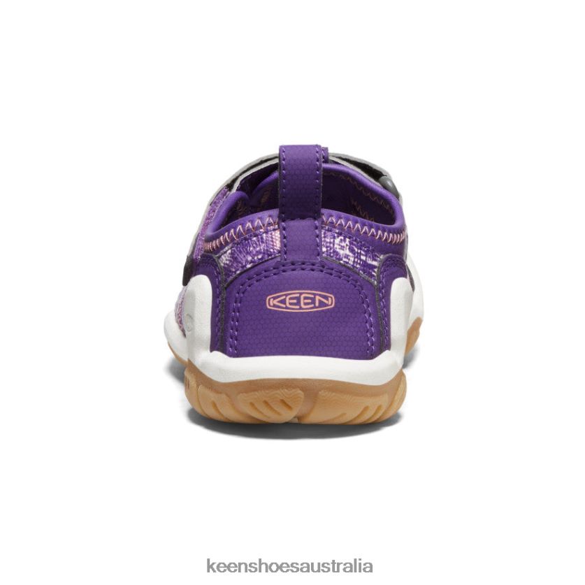 KEEN Footwear TLDLTR776 Tillandsia Purple/English Lavender Knotch Creek Little Kids