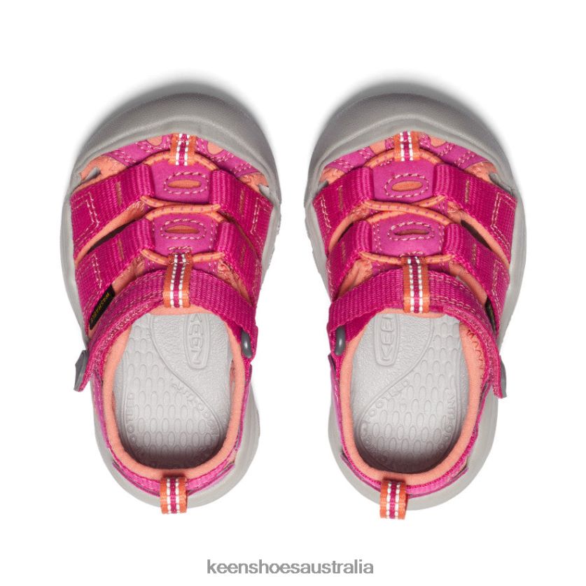 KEEN Footwear TLDLTR828 Very Berry/Fusion Coral Newport H2 Toddlers