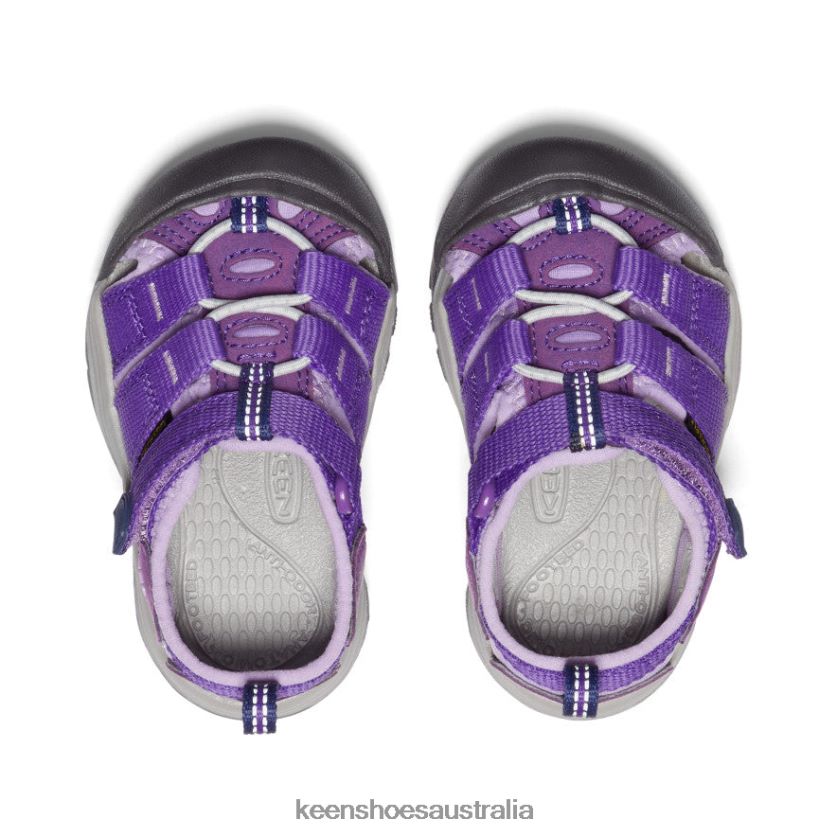 KEEN Footwear TLDLTR829 Tillandsia Purple/English Lavender Newport H2 Toddlers