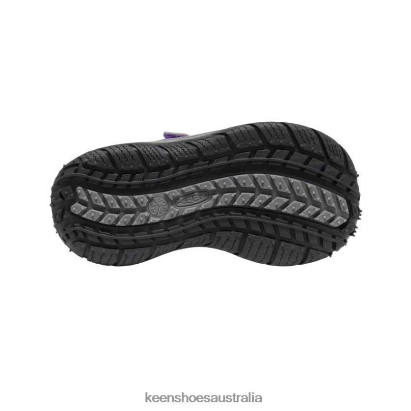 KEEN Footwear TLDLTR810 Tillandsia Purple/Multi Speed Hound Little Kids