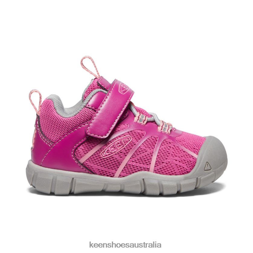 KEEN Footwear TLDLTR884 Festival Fuchsia/Ibis Rose Chandler 2 CNX Sneaker Toddlers