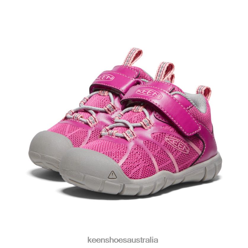 KEEN Footwear TLDLTR884 Festival Fuchsia/Ibis Rose Chandler 2 CNX Sneaker Toddlers