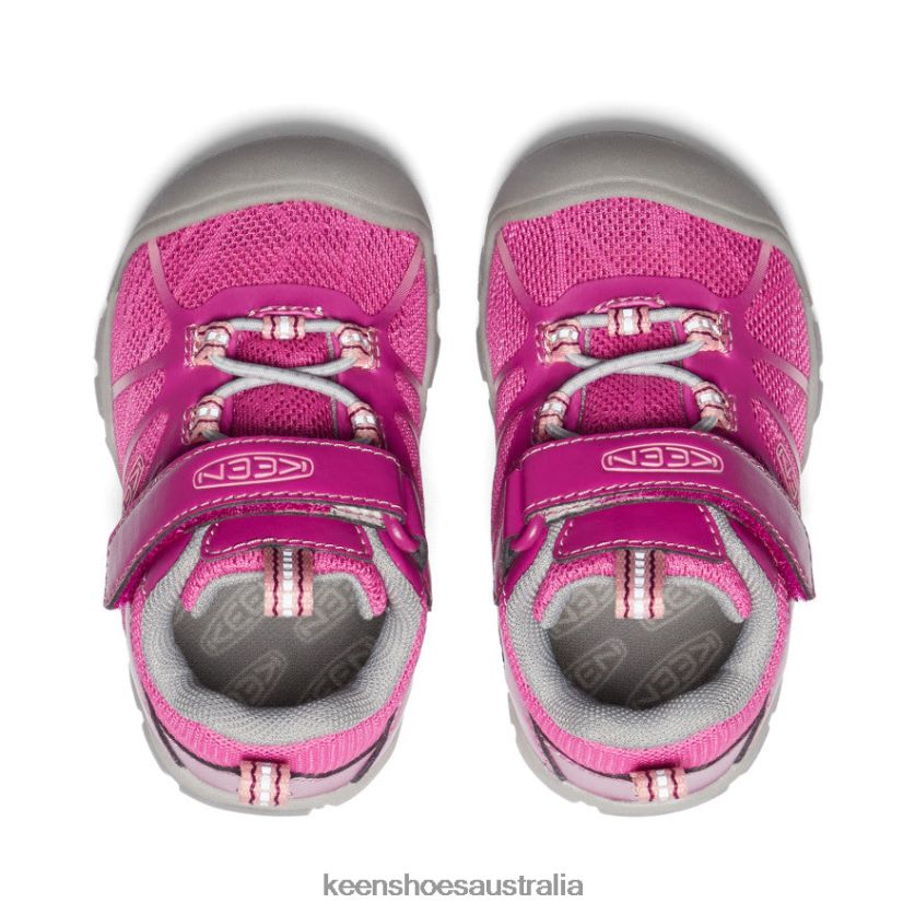 KEEN Footwear TLDLTR884 Festival Fuchsia/Ibis Rose Chandler 2 CNX Sneaker Toddlers