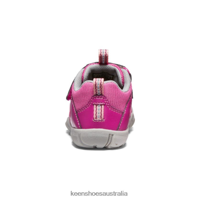 KEEN Footwear TLDLTR884 Festival Fuchsia/Ibis Rose Chandler 2 CNX Sneaker Toddlers