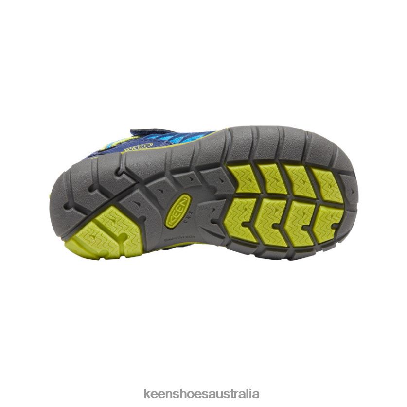 KEEN Footwear TLDLTR888 Brilliant Blue/Blue Depths Chandler CNX Little Kids