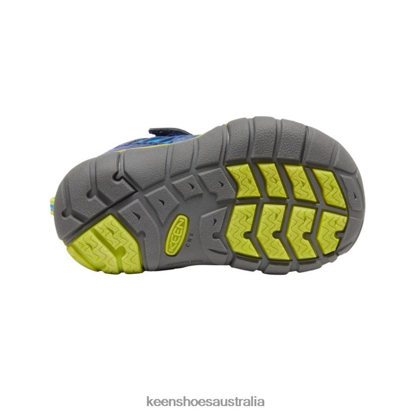 KEEN Footwear TLDLTR899 Brilliant Blue/Blue Depths Chandler CNX Toddlers