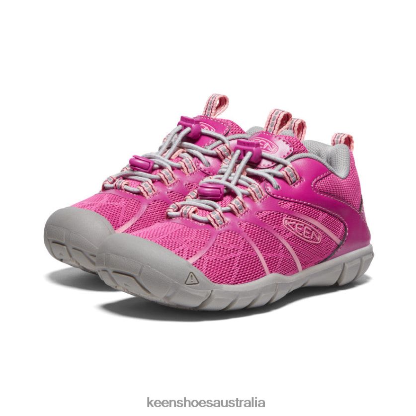 KEEN Footwear TLDLTR902 Festival Fuchsia/Ibis Rose Chandler 2 CNX Sneaker Little Kids