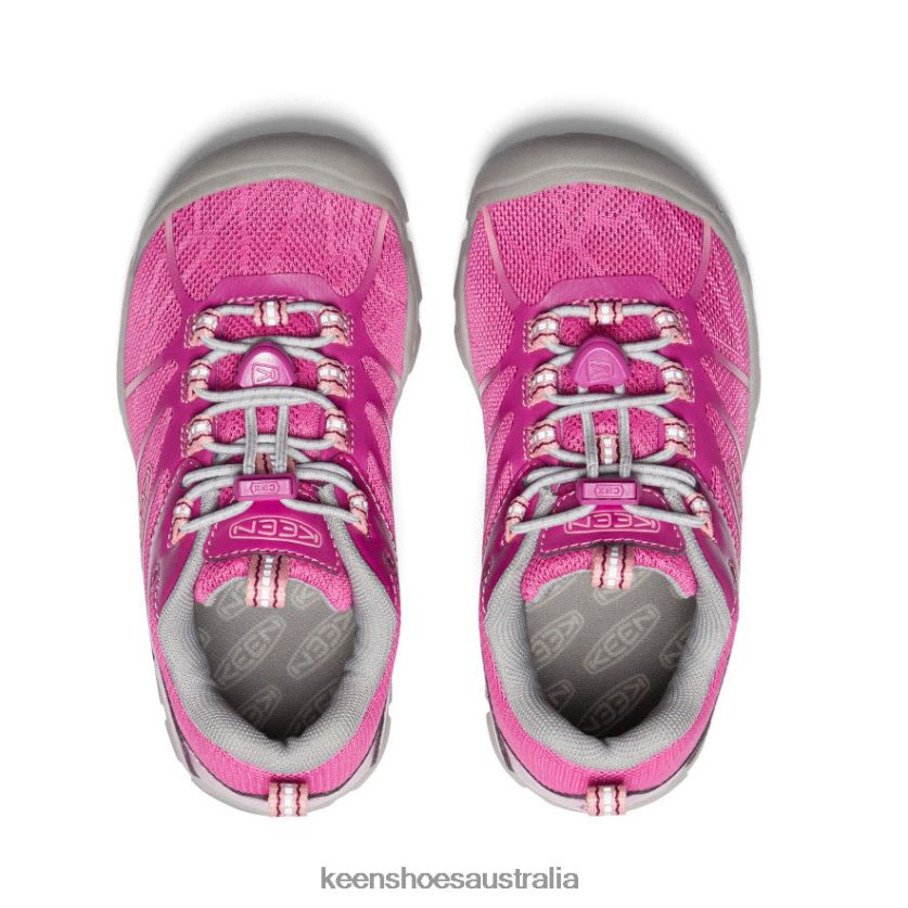 KEEN Footwear TLDLTR902 Festival Fuchsia/Ibis Rose Chandler 2 CNX Sneaker Little Kids