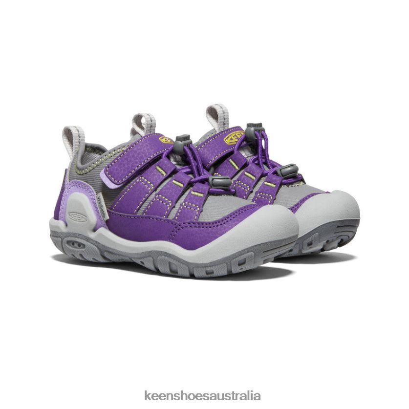 KEEN Footwear TLDLTR909 Tillandsia Purple/Evening Primrose Knotch Hollow Sneaker Big Kids