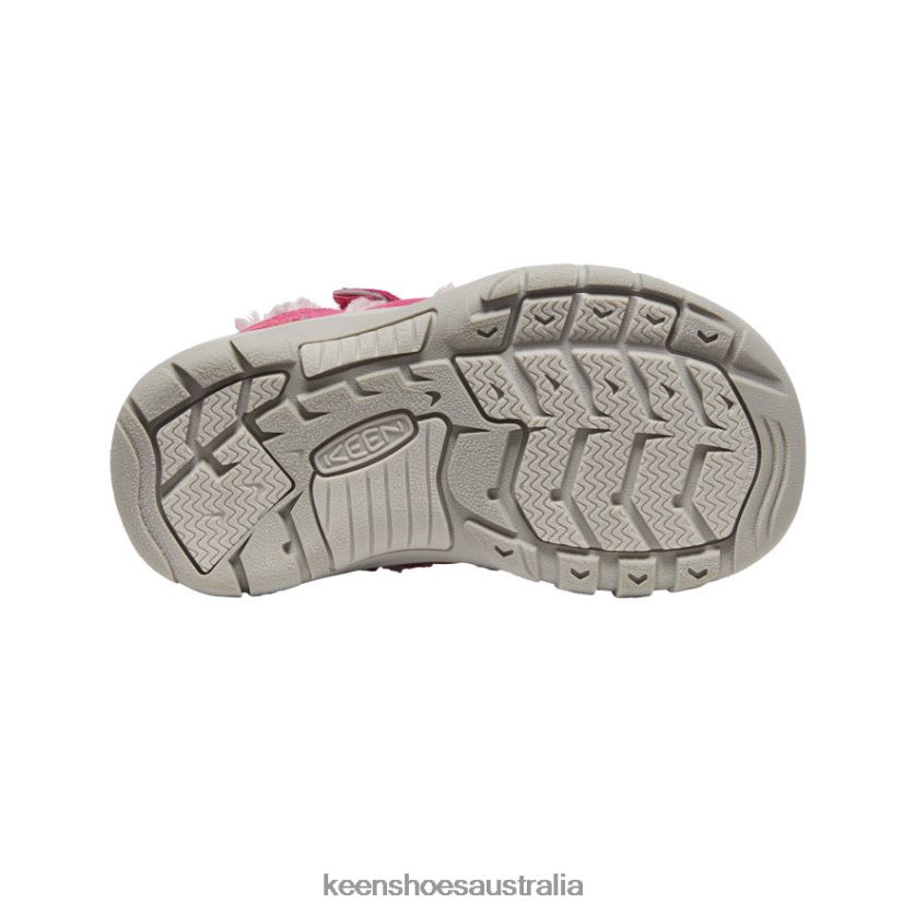 KEEN Footwear TLDLTR978 Fruit Dove/Ballet Slipper Newport Shoe Little Kids