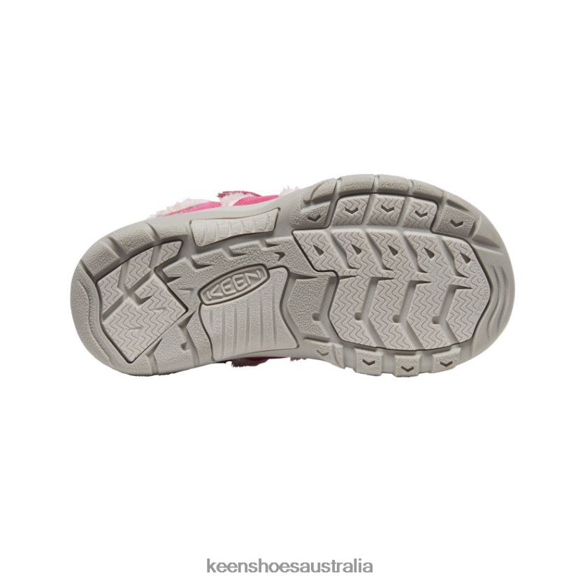 KEEN Footwear TLDLTR982 Fruit Dove/Ballet Slipper Newport Shoe Big Kids