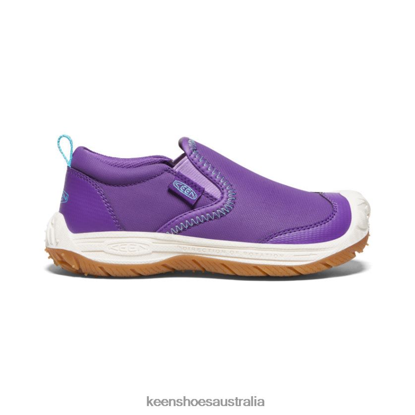 KEEN Footwear TLDLTR715 Tillandsia Purple/Ipanema Speed Hound Slip-On Little Kids