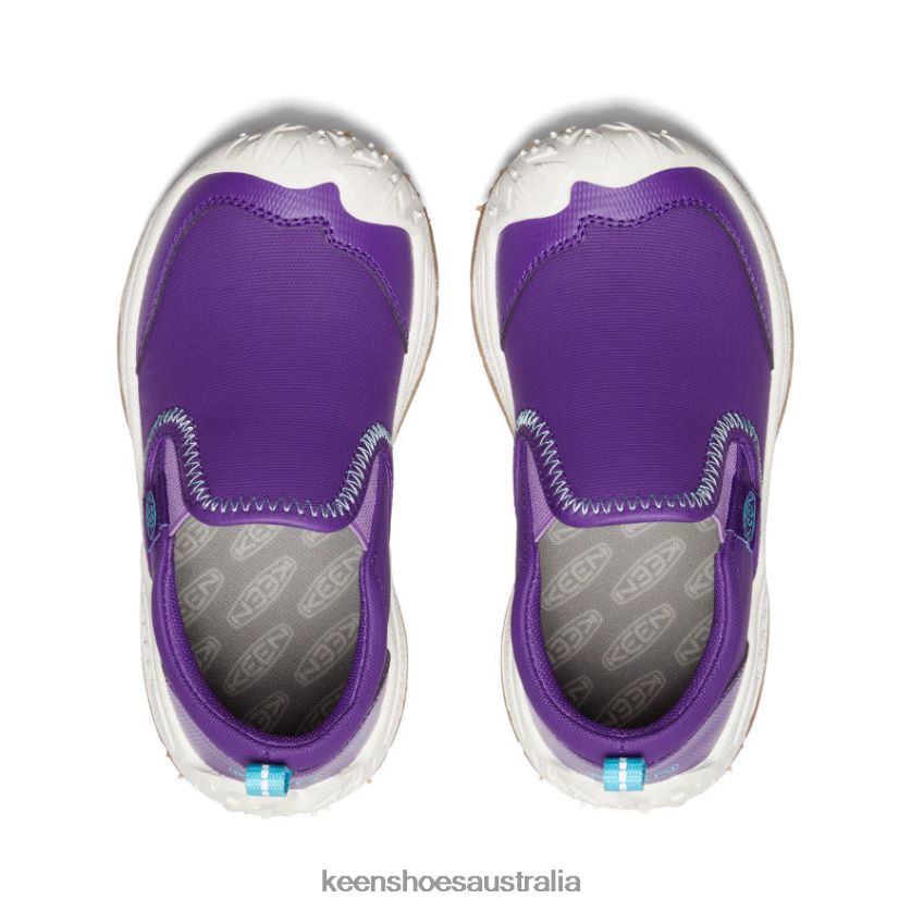 KEEN Footwear TLDLTR715 Tillandsia Purple/Ipanema Speed Hound Slip-On Little Kids