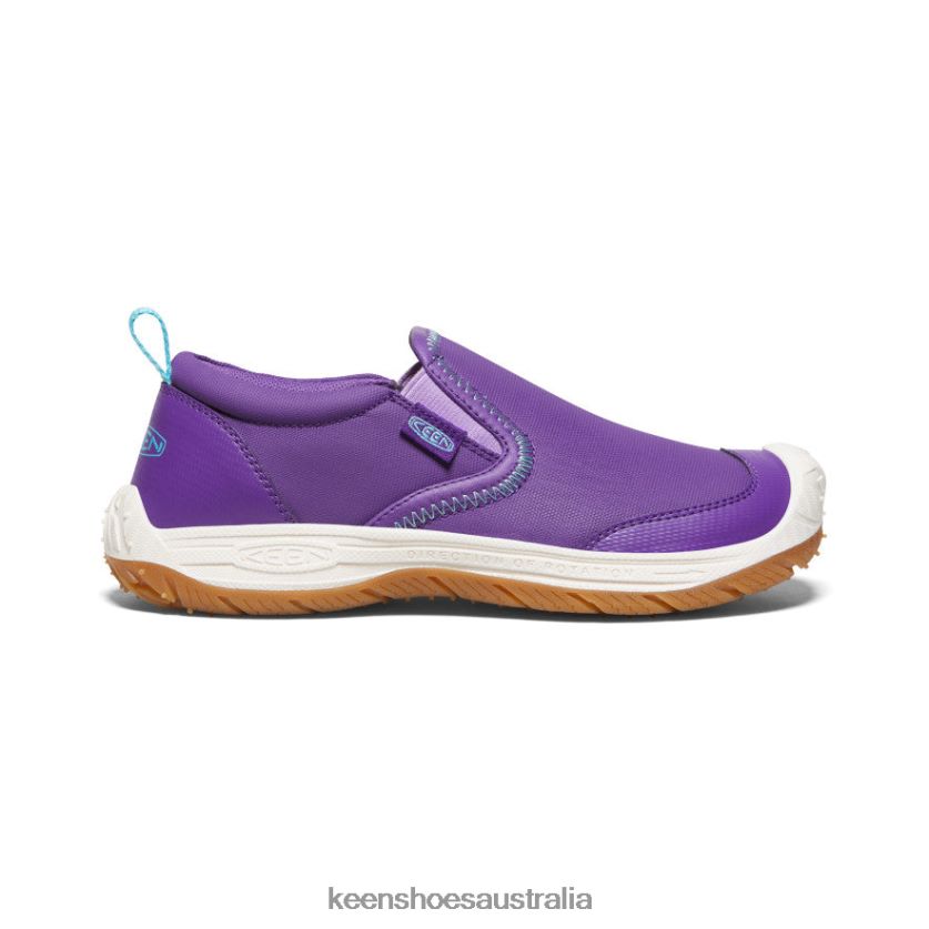 KEEN Footwear TLDLTR719 Tillandsia Purple/Ipanema Speed Hound Slip-On Big Kids