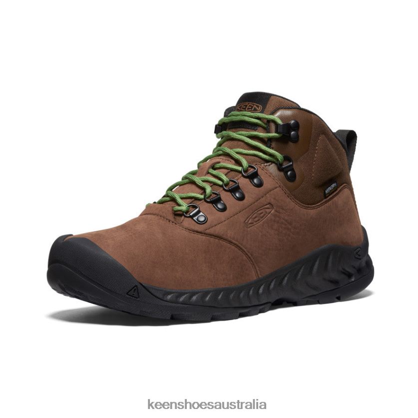 KEEN Footwear TLDLTR12 Bison/Campsite NXIS Explorer Waterproof Boot Men