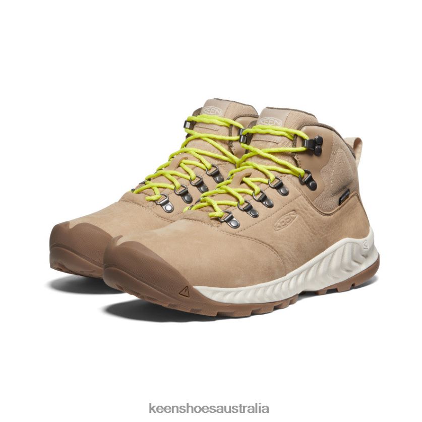 KEEN Footwear TLDLTR13 Safari/Birch NXIS Explorer Waterproof Boot Men