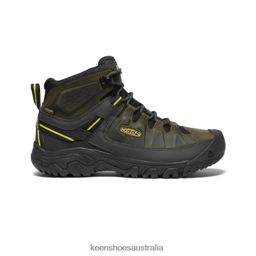 KEEN Footwear TLDLTR227 Forest Night/Evening Primrose Targhee III Waterproof Mid Men