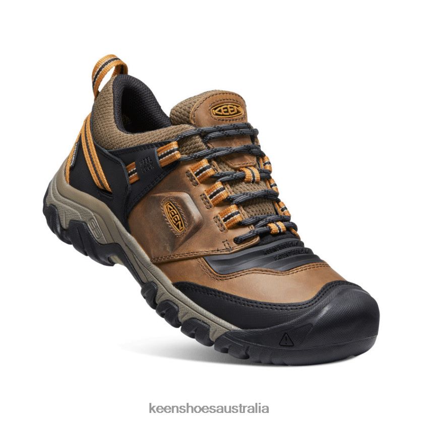 KEEN Footwear TLDLTR250 Bison/Golden Brown Ridge Flex Waterproof Men