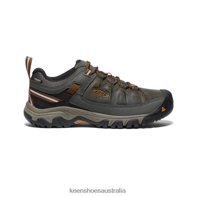 KEEN Footwear TLDLTR149 Black Olive/Golden Brown Targhee III Waterproof Men
