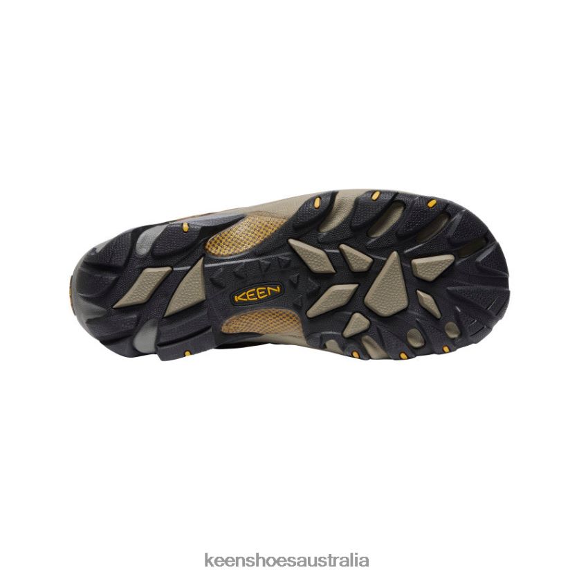 KEEN Footwear TLDLTR206 Cascade Brown/Golden Yellow Targhee II Waterproof Men