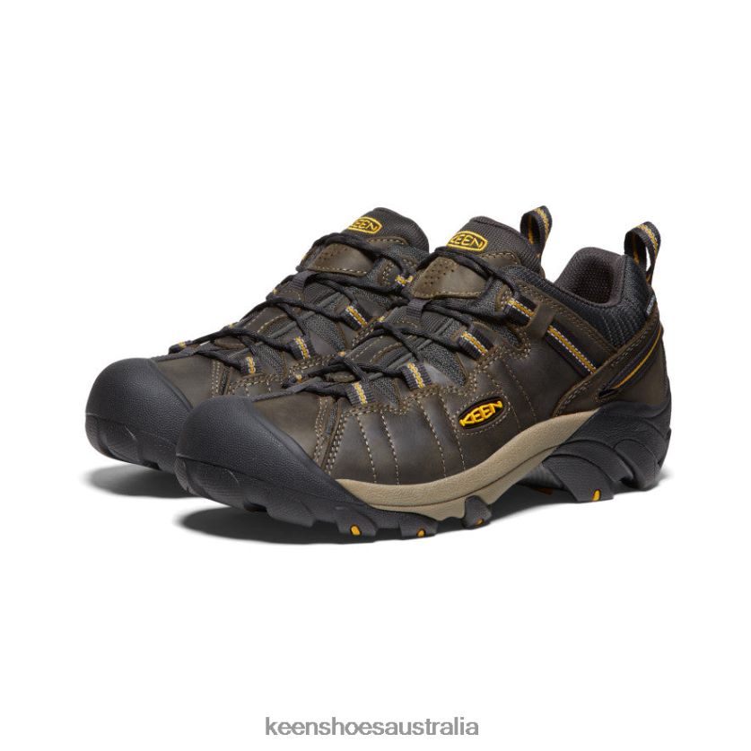KEEN Footwear TLDLTR207 Raven/Tawny Olive Targhee II Waterproof Men