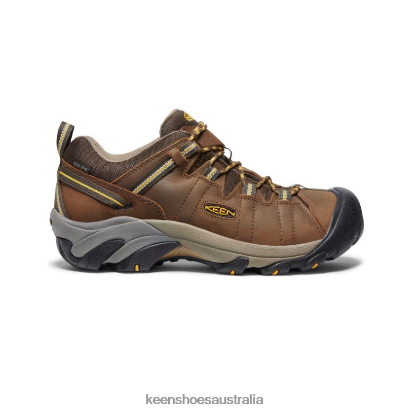 KEEN Footwear TLDLTR294 Cascade Brown/Golden Yellow Targhee II Waterproof Wide Men