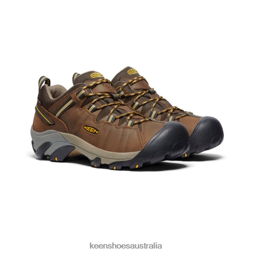 KEEN Footwear TLDLTR294 Cascade Brown/Golden Yellow Targhee II Waterproof Wide Men