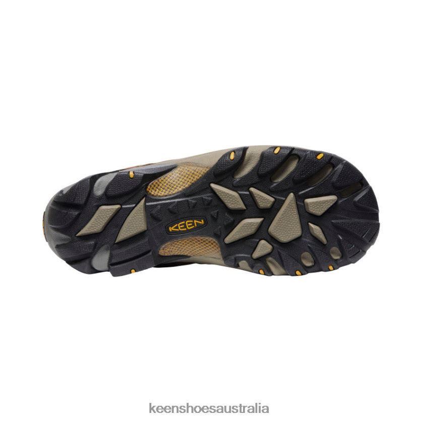 KEEN Footwear TLDLTR294 Cascade Brown/Golden Yellow Targhee II Waterproof Wide Men