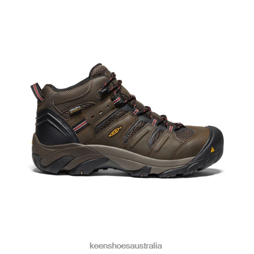KEEN Footwear TLDLTR92 Cascade Brown/Brindle Lansing Mid Waterproof (Steel Toe) Men