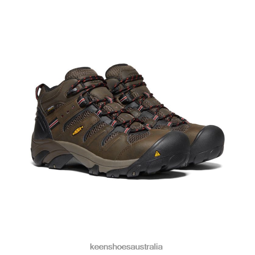 KEEN Footwear TLDLTR92 Cascade Brown/Brindle Lansing Mid Waterproof (Steel Toe) Men