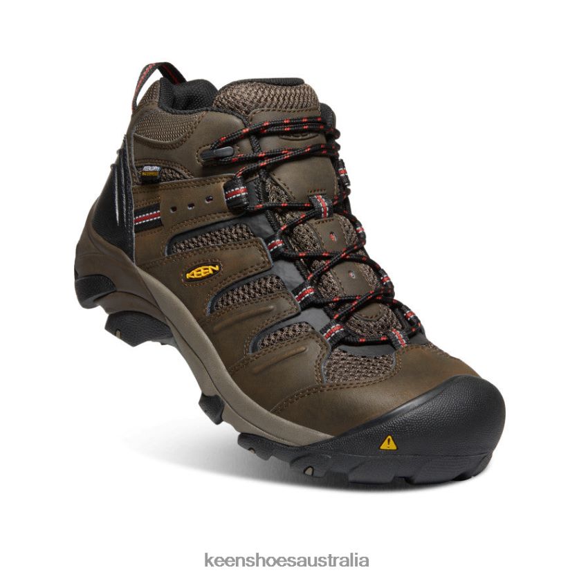 KEEN Footwear TLDLTR92 Cascade Brown/Brindle Lansing Mid Waterproof (Steel Toe) Men