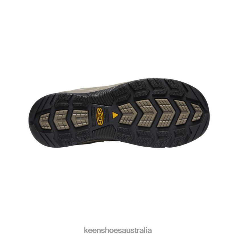 KEEN Footwear TLDLTR280 Cascade Brown/Orion Blue Flint II Waterproof (Steel Toe) Men